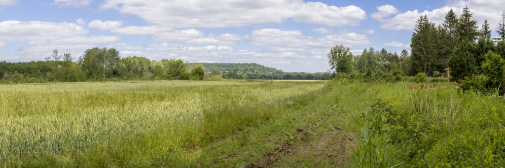 Point de vue à Montmacq avant les travaux – Été 2022 @SCSNE-Patrick Bogner
